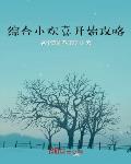 综合影视从小欢喜开始攻略