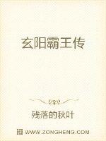 玄阳霸王传