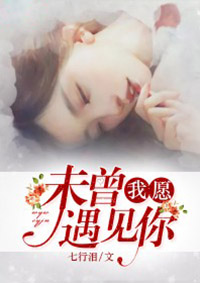 我愿未曾遇见你