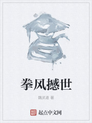 拳风撼世