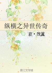 纵横之异世传奇
