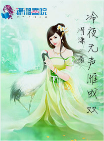 冷夜无声雁成双