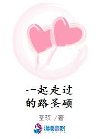 一起走过的路圣硕