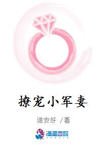 撩宠小军妻