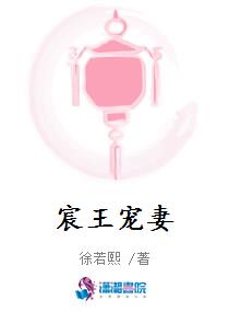宸王宠妻