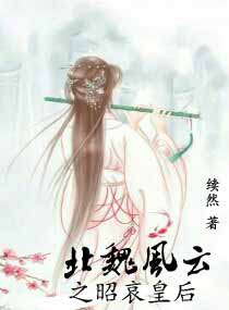 北魏风云之昭哀皇后