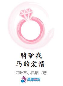骑驴找马的爱情