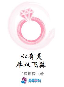 心有灵犀双飞翼