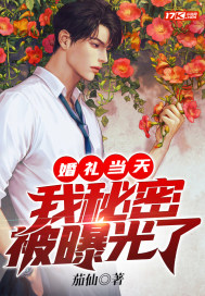 婚礼当天,我秘密被曝光了