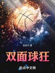 双面球狂
