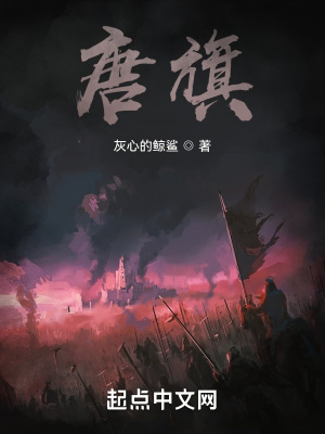 唐旗金舞鞋