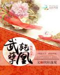 凤仪九天:武乾孽凰