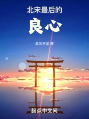 北宋末年的良心