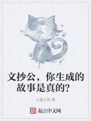 文抄公,你生成的故事是真的？
