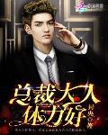 总裁大人,体力好！