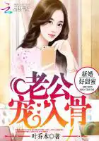 新婚好甜蜜：老公,宠入骨！