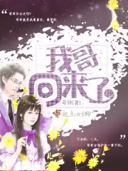 容颜连城雅致