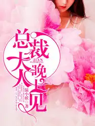总裁大人,晚上见！