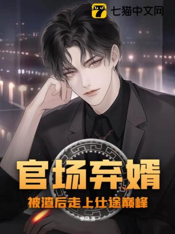 官场弃婿,被渣后走上仕途巅峰