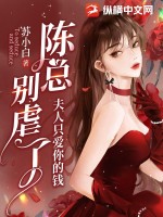 陈总别虐了,夫人只爱你的钱