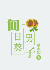 向日葵男子
