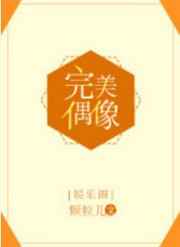 完美偶像[娱乐圈] 完结+番外