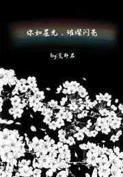 你如星光,璀璨闪亮 完结+番外