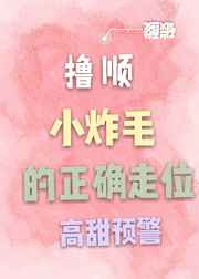 撸顺小炸毛的正确走位 完结+番外