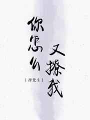 你怎么又撩我 完结+番外