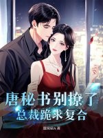 唐秘书别撩了,总裁跪求复合