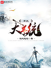 帝武大系统
