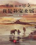 平凡的世界之我是孙家女婿