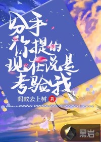 分手你提的,现在说是考验我？