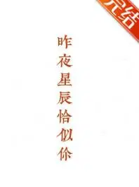 昨夜星辰恰似你