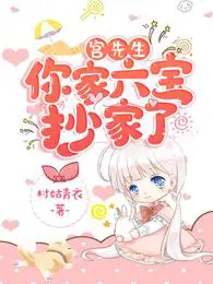 宫先生,你家六宝抄家了