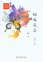蝴蝶效应