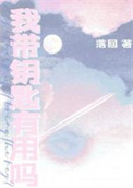 我带钥匙有用吗