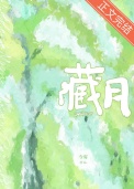 藏月