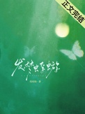 发梦蜉蝣