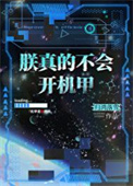 朕真的不会开机甲
