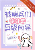 被哨兵们争夺的S级向导