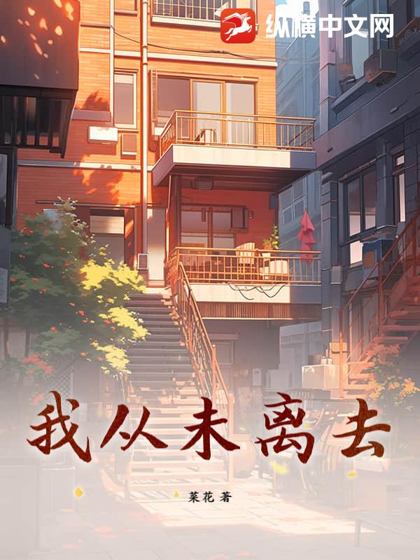 我从未离去