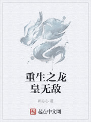 宿命轮回之第九世