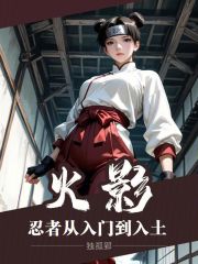 火影：忍者从入门到入土
