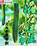混在东瀛成大亨