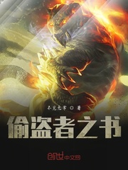 偷盗者之书