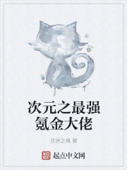 次元最强氪金大佬